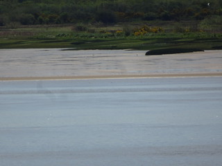 41633958904_fb689737b8_n.jpg