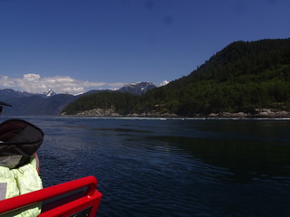 42483282012_8be24e9c2e_n.jpg