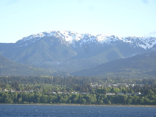 42410075131_d1831a334e_n.jpg