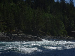 41632965665_0830949634_n.jpg