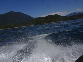 27664618777_49f318484d_n.jpg