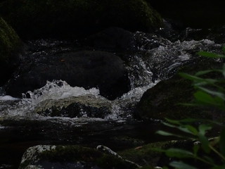28902503593_0ebd35b6ac_n.jpg