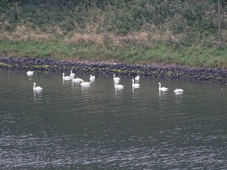 28880017474_240629fc88_n.jpg