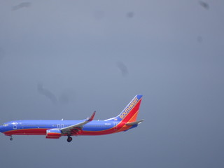 41565970734_385baf657c_n.jpg