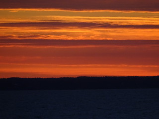 29274952736_b32830df7a_n.jpg