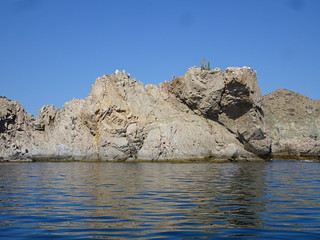 42022874981_94dcccd099_n.jpg