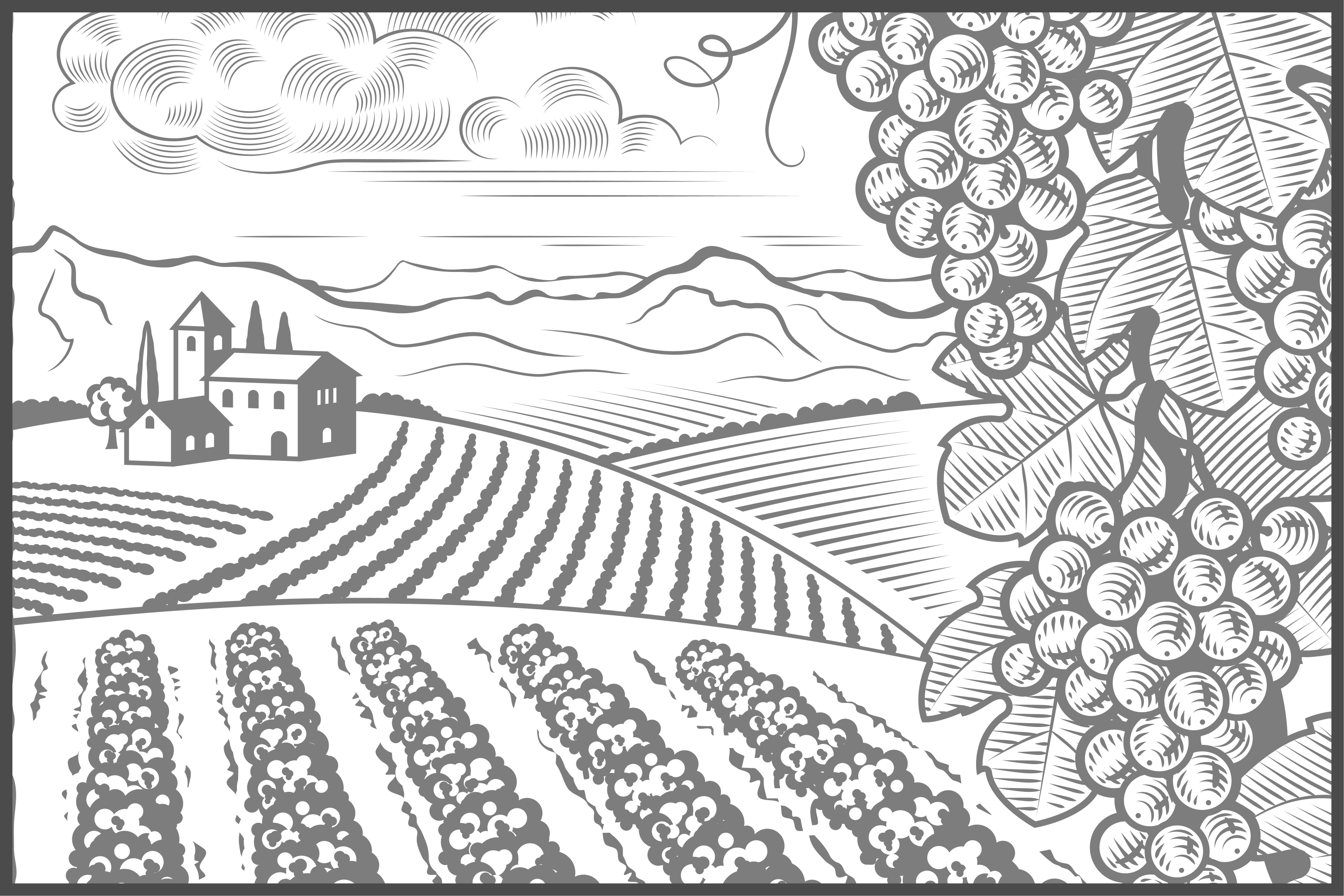 olivers-wines.com.au