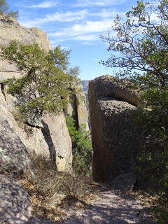 41164720925_d07c8096f9_n.jpg