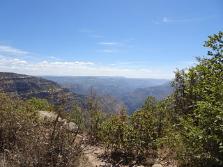 41337580204_764ddd6c20_n.jpg