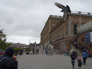 28929101771_fef9e43940_n.jpg