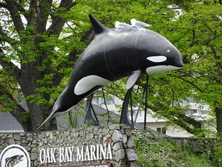 40747861480_741452cf17_n.jpg