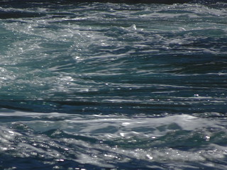 42483277102_8c9f93d3d5_n.jpg