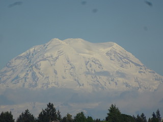 28558645098_56cf937bf1_n.jpg