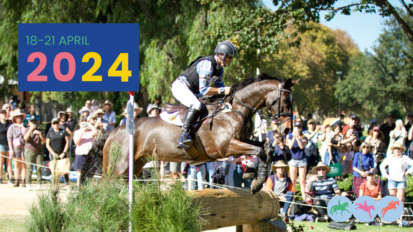 www.adelaideequestrianfestival.com